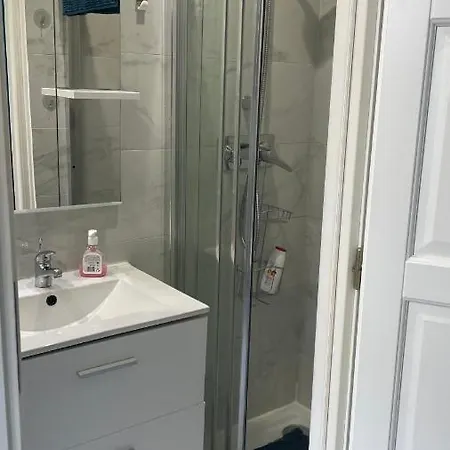 Appartement Rue Pietonne Proche *